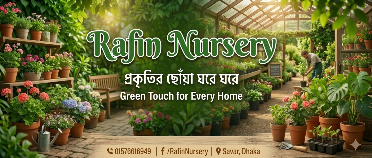 Need Fill promo