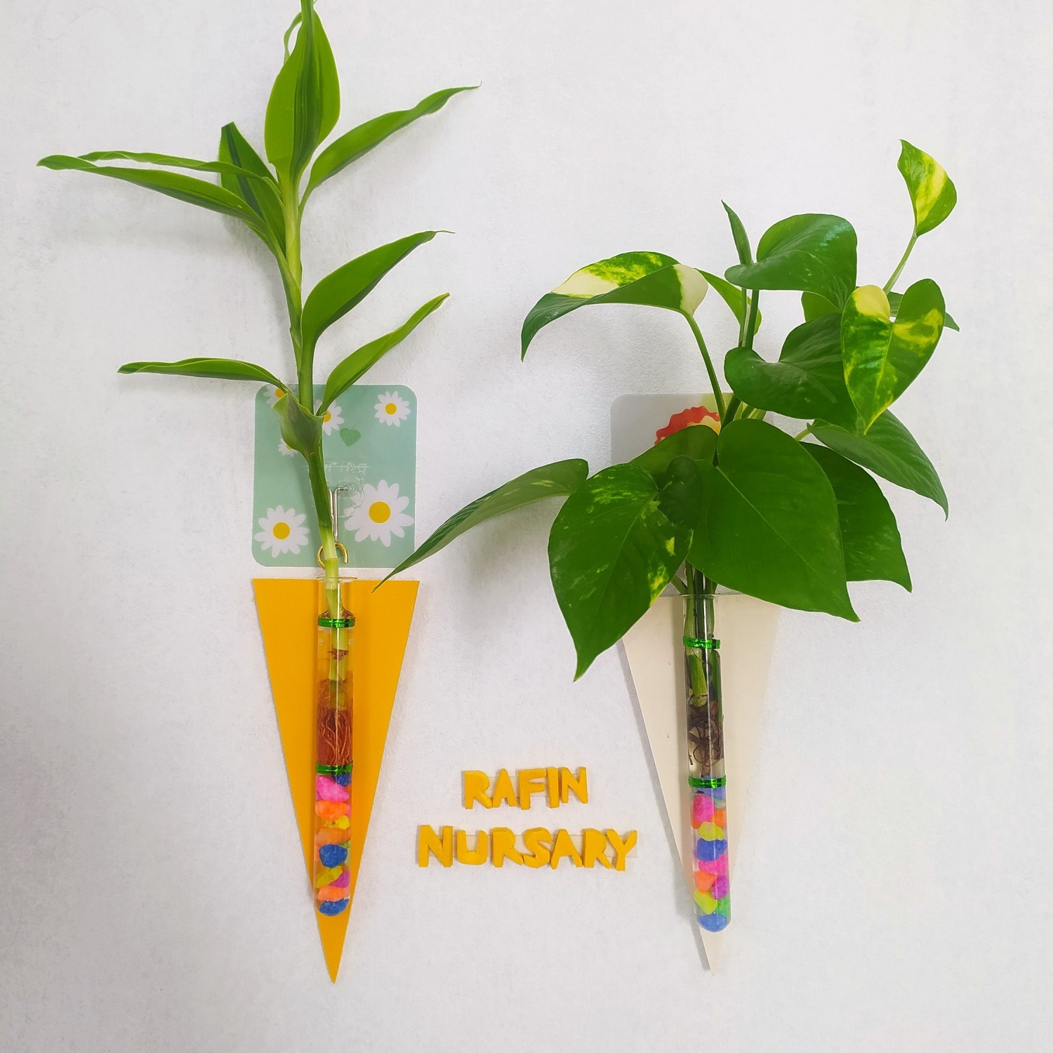 Wall Hanging Stand without Plant 2 pcs